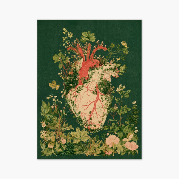 Anatomical Heart Botanical Print art print