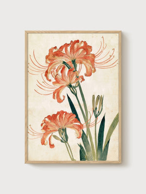 Red Spider Lily Watercolor Print poster in oak frame