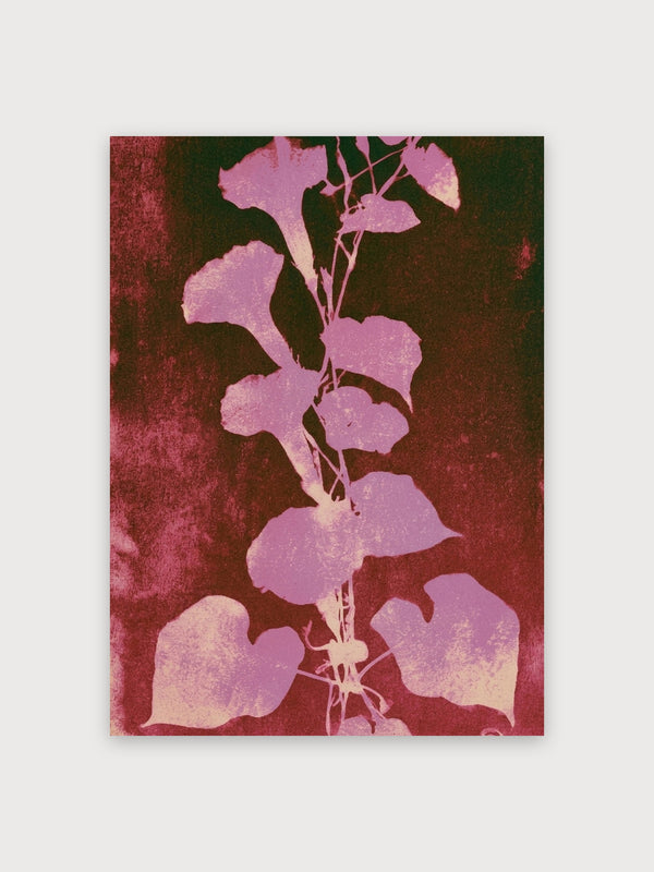 Art Nouveau Pink Botanical Study - Digital Download