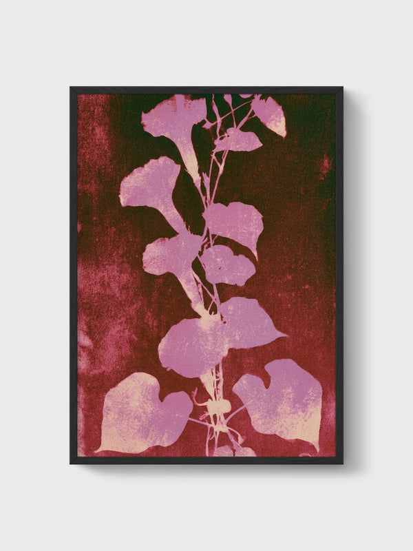 Art Nouveau Botanical Print poster in black frame