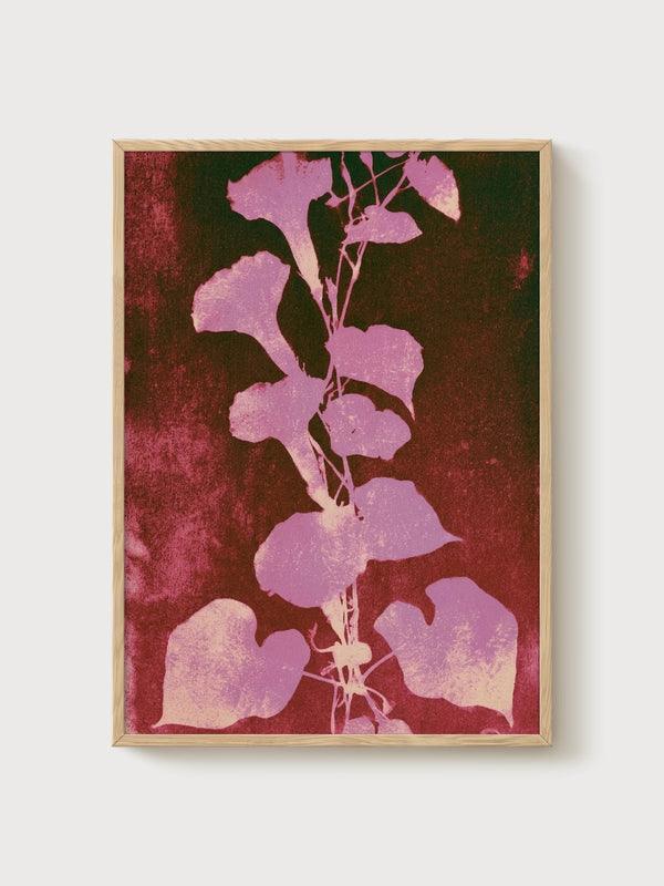 Art Nouveau Botanical Print poster in oak frame
