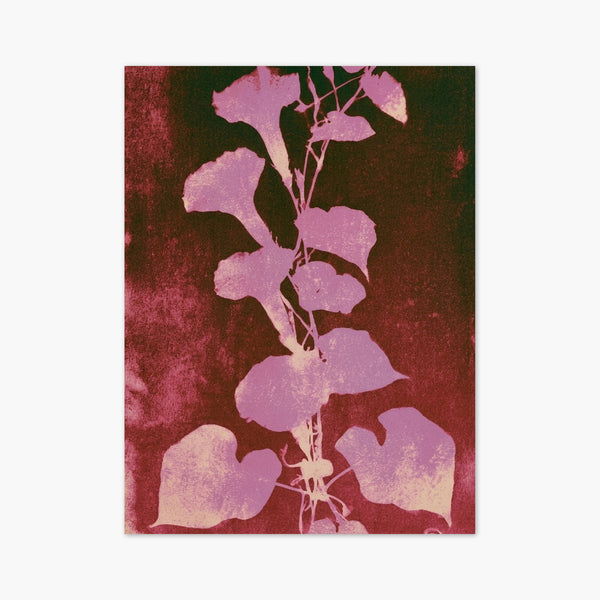 Art Nouveau Botanical Print art print