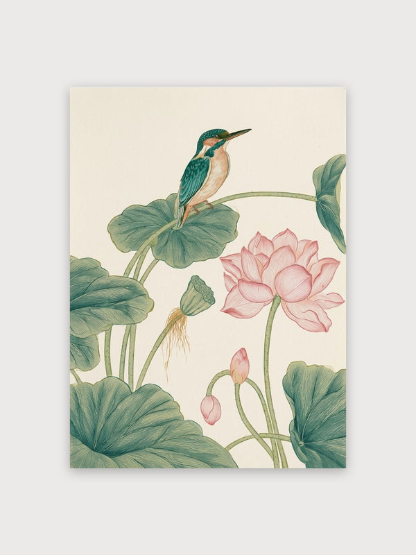 Kingfisher With Lotus Botanical Study - Digital Download