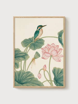 Kingfisher Bird Print poster in oak frame