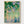 Watercolor Flowers Garden Print poster in oak frame