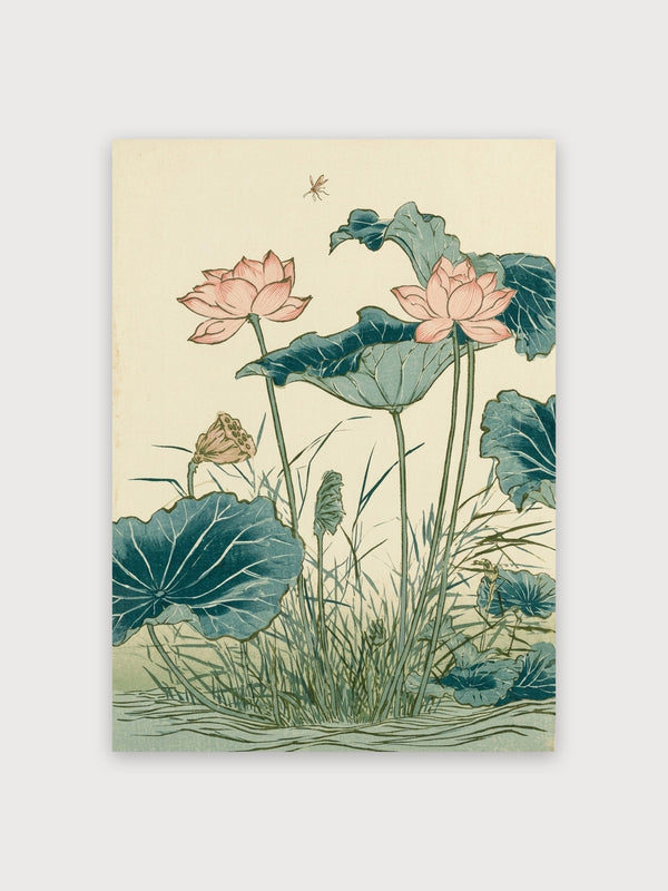Lotus Water Lilies Botanical Study - Digital Download