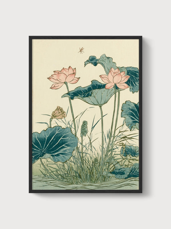 Lotus Water Lily Print poster in black frame