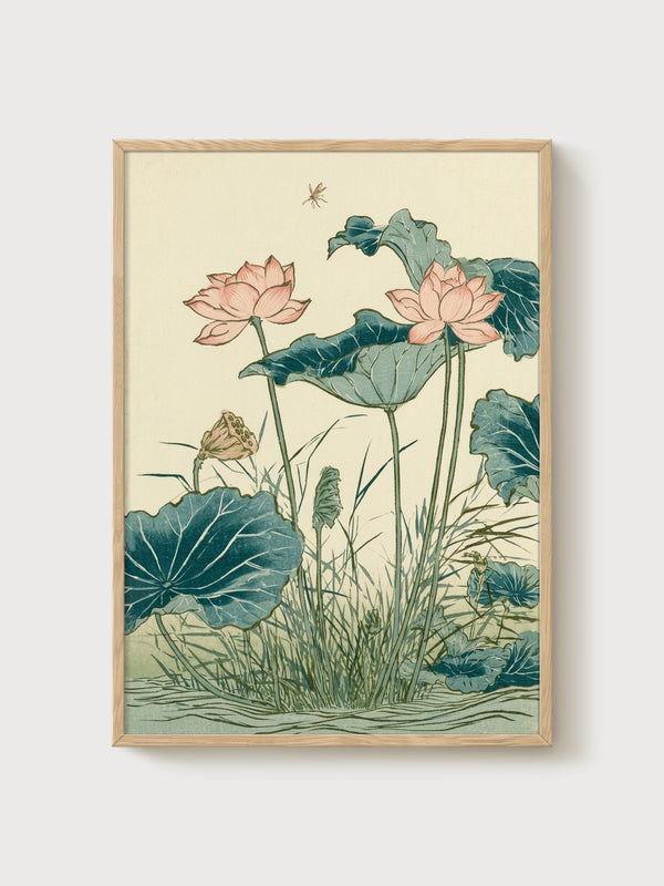 Lotus Water Lily Print poster in oak frame