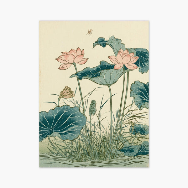 Lotus Water Lily Print art print