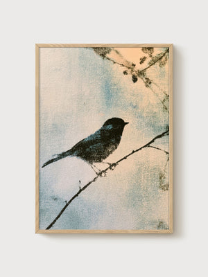 Bird Line Art Print poster in oak frame