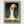 Silly Goose Print poster in black frame