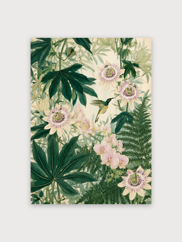 Hummingbird Passion Flower Botanical - Digital Download
