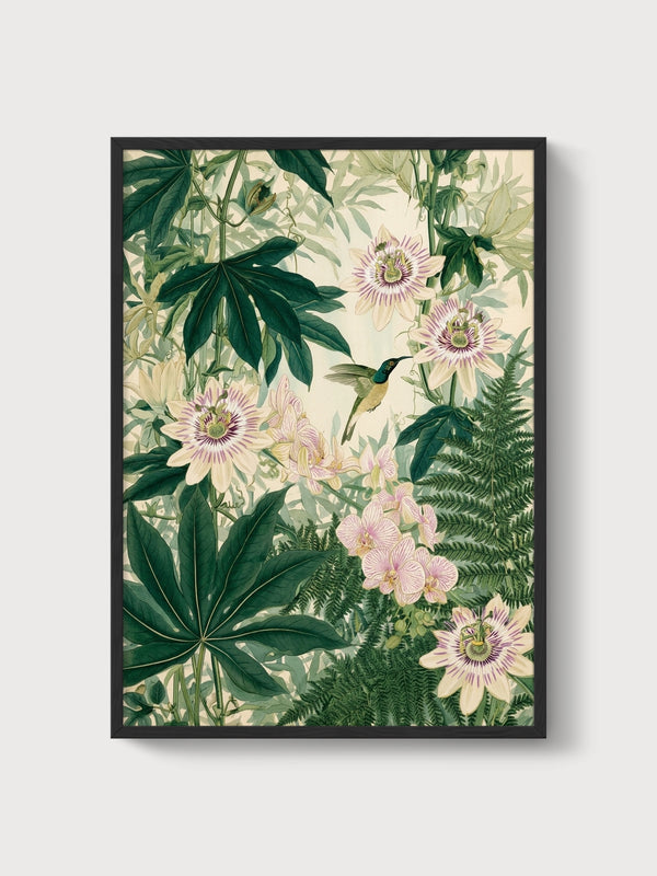 Hummingbird Art Print poster in black frame