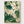 Hummingbird Art Print poster in oak frame