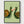 Snail Cocktail Poster poster in black frame