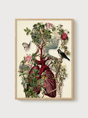 Anatomical Heart Botanical Wall Art poster in oak frame