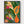 Tropical Fruit Print poster in black frame