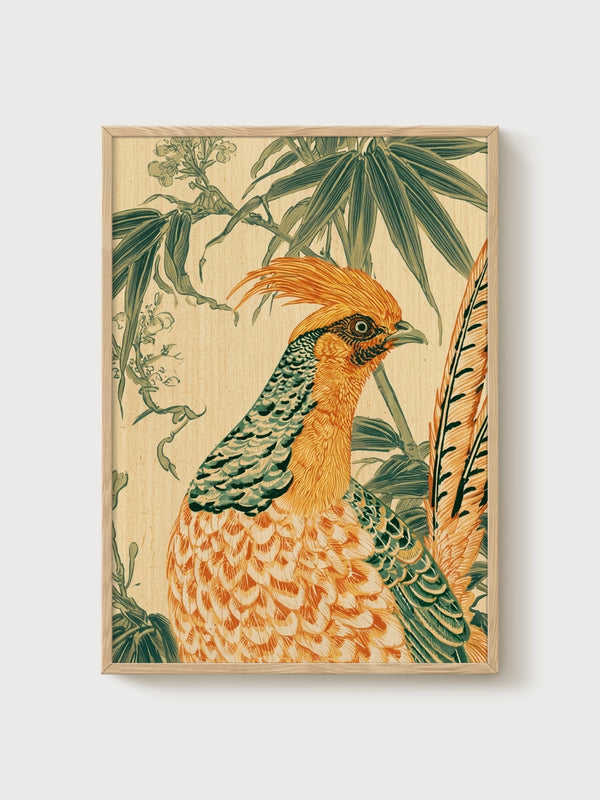 Vintage Bird Print poster in oak frame