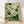 Framed Art Nouveau botanical poster featuring a delicate hummingbird hovering near passionflowers and ferns in sage green, cream, and pale pink tones.