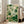 Serene botanical wall art in Art Nouveau style showcasing a hummingbird amid passionflowers, orchids, and leafy tendrils in forest green and cream hues.