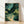 Serene nocturnal garden scene with a gentle stream, bamboo stalks, and delicate flowers framed as a vintage impressionist poster in soft teal, golden yellow, and forest green tones.