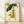 Whimsical vintage botanical illustration of a pear-shaped character holding a large leaf umbrella, rendered in sage green, chartreuse, coral red, and cream tones; framed poster displayed on wall.