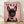 Pop art style framed poster featuring a glamorous French Bulldog wearing oversized sunglasses, pearls, and a chic headscarf against a pink and black background.