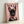 Chic pop art poster showing a fashionable French Bulldog with pearl necklace and sunglasses on a vibrant pink backdrop, framed and displayed as wall decor.