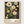 Yayoi Kusama Print poster in oak frame