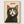 Funny Cat Poster poster in oak frame