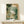 Tranquil impressionist watercolor depicting a graceful egret amid delicate reeds in a calm marsh, rendered in cream, soft green, and subtle blue hues.