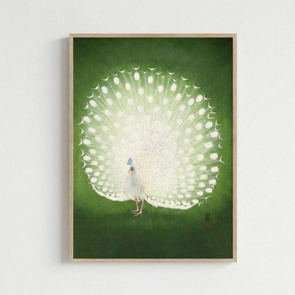 Framed pale green and cream woodblock art depicting a graceful white peacock in the style of Ohara Koson, conveying calm and meditative elegance.