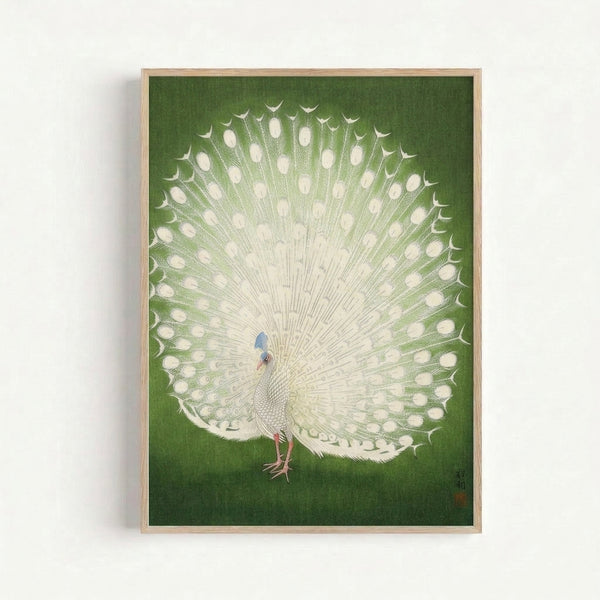 Elegant framed peacock art print with soft blue and coral-red accents, rendered in traditional woodblock style with zen wabi-sabi sensibility.