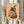 Spellbinding watercolor illustration of a raccoon adorned with a witch hat alongside magical stars and a mysterious jar, blending whimsy with gothic charm in soft peach, green, and cream tones.