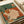 Minimalist wall art celebrating domestic tranquility: woman with coffee, couch, potted plants, and books in a Japandi-inspired composition of cream, sage green, and warm earth tones.