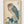 Japanese Woodblock Print poster in oak frame