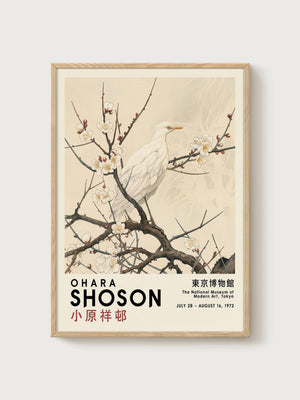 Ohara Shoson Print poster in oak frame