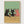 Funny Cat Poster poster in oak frame