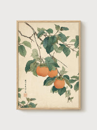Persimmon Woodblock