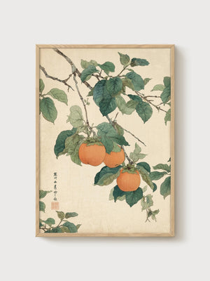 Japanese Persimmon Art Print poster in oak frame