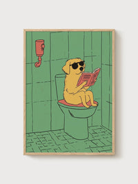 Cool Dog Reading
