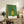 Contemporary framed poster art in Japandi style showing a serene dog in full yellow rain ensemble, created with minimalist line illustration in sage green, golden yellow, and black.