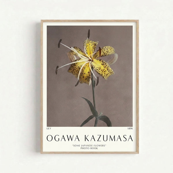 Vintage-style botanical art print featuring a delicate lily with detailed petals and stem in soft yellow and taupe tones, framed as wall decor.